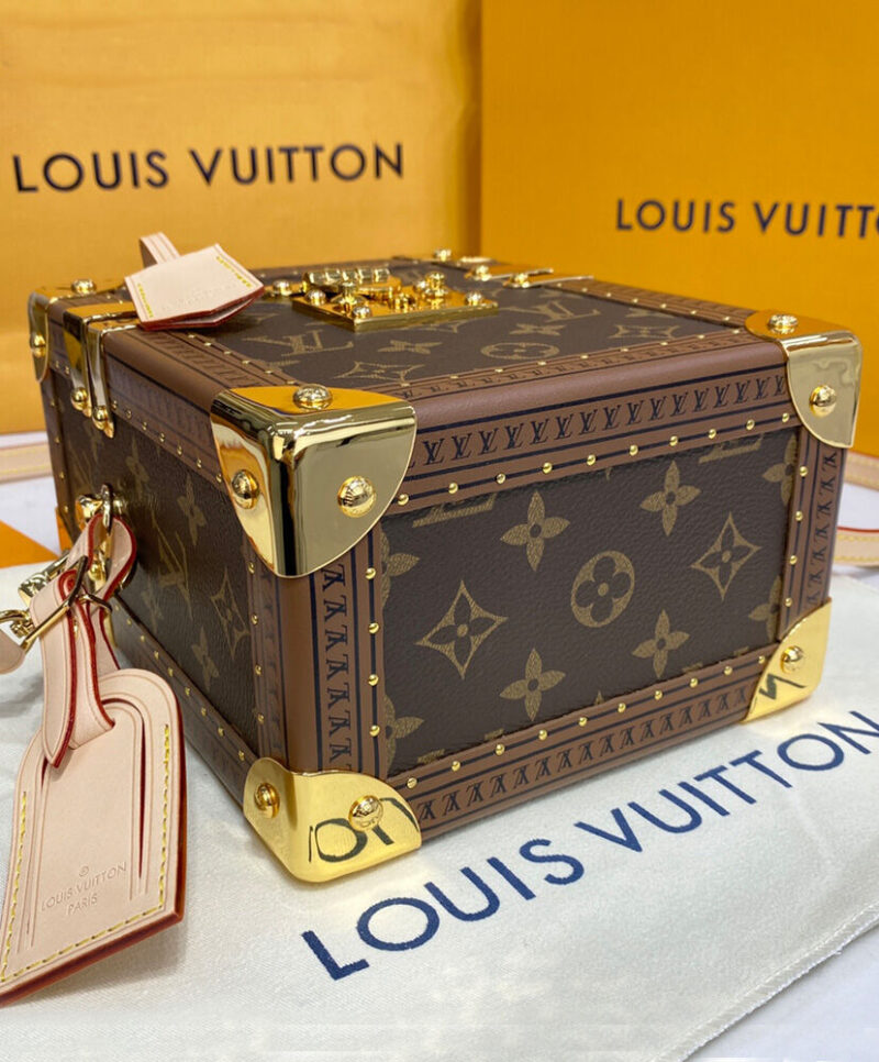 Louis Vuitton Camera Box M10079 Brown